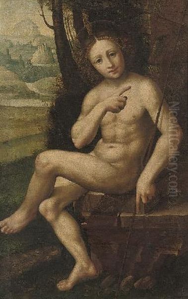 Saint John The Baptist In The Wilderness Oil Painting by Cesare da Sesto