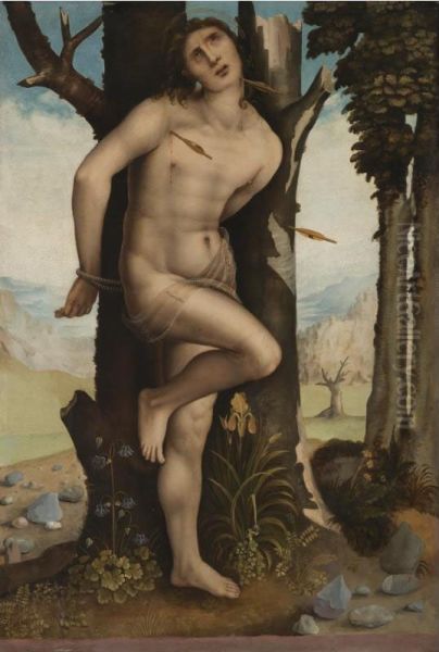 Saint Sebastian Oil Painting by Cesare da Sesto