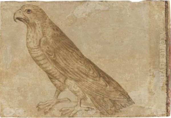 A Bird Of Prey Oil Painting by Giovanni (Giovanni da Udine) Nanni (Nani)