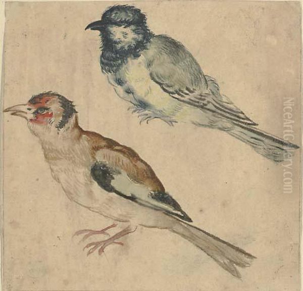 A Blue Tit And A Goldfinch Oil Painting by Giovanni (Giovanni da Udine) Nanni (Nani)