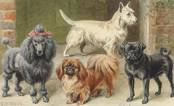 A Poodle, Pekingese, Pug, And Terrier On A Step Oil Painting by S. T. Dadd