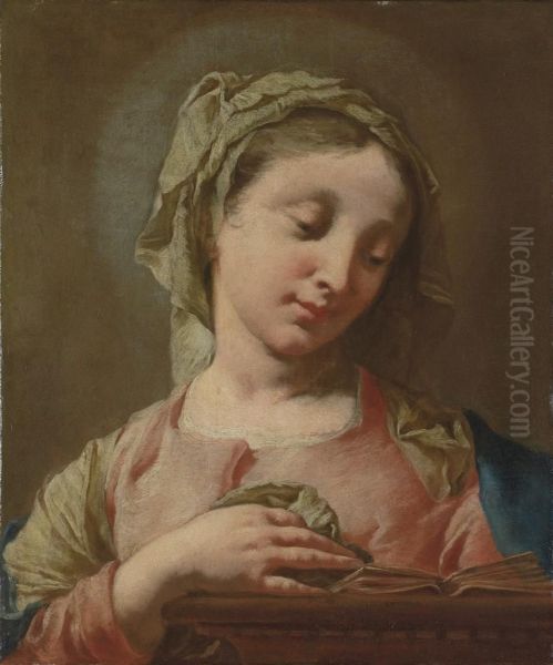 The Madonna Reading Oil Painting by Francesco Daggiu Daggiu Il Capella