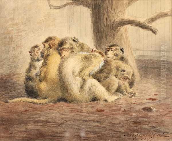 Apefamilie Oil Painting by Siegwald Johannes Dahl