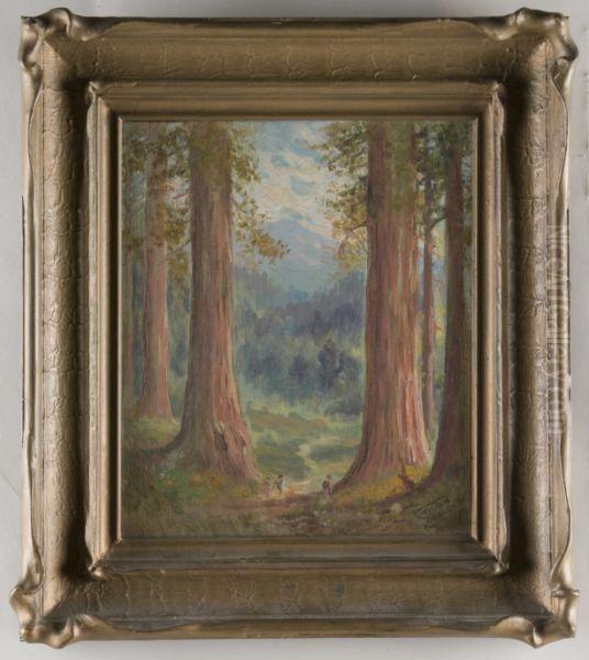 Redwoods Oil Painting by Tilden Dakin