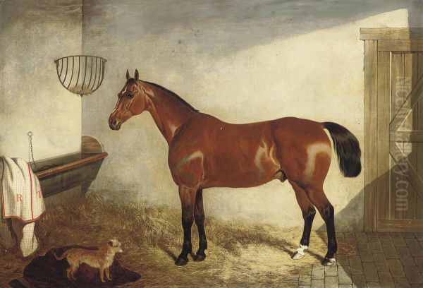 A Bay Hunter In A Stable Oil Painting by John Dalby Of York