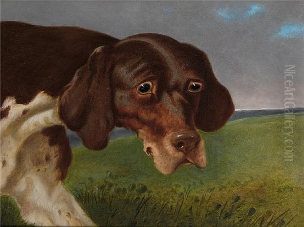 A Portrait Of A Brown And White Pointer; A Portrait Of A Black And White Pointer Oil Painting by John Dalby Of York