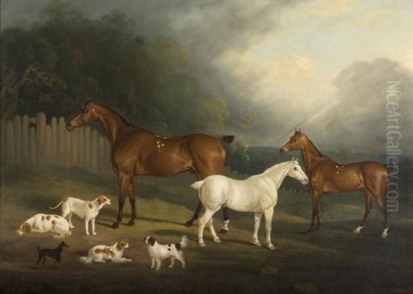 A Favourite Hunter Oil Painting by David of York Dalby