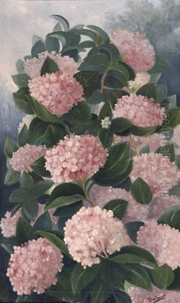 Hortensias Oil Painting by Josep Dalmau