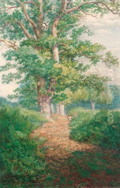 A Figure And Deer In A Wooded Landscape Oil Painting by Thomas Bolton Gil.S. Dalziel