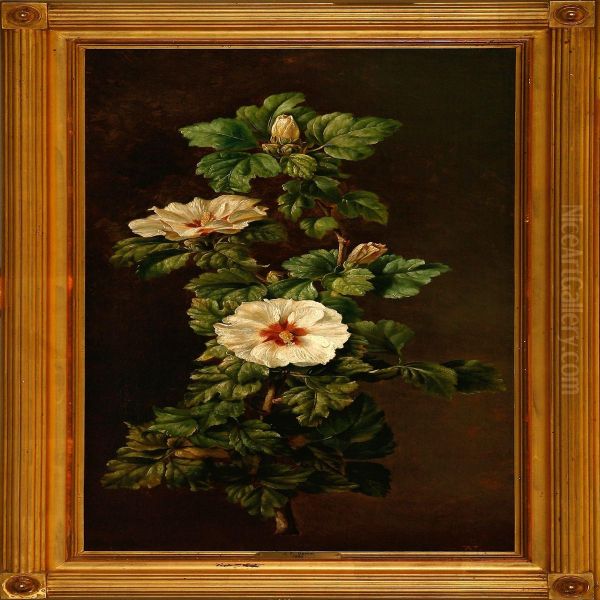 A Flowering Hibiscus Branch Oil Painting by Johan Frederik Damm