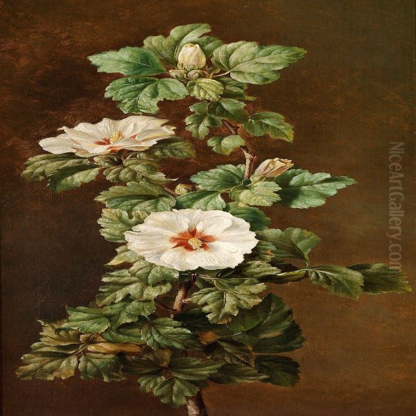 A Flowering Hibiscus Branch Oil Painting by Johan Frederik Damm