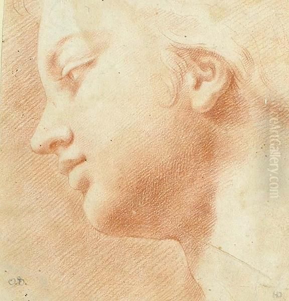 Profile Head Of A Youth Turned To The Left Oil Painting by Ottaviano Dandini