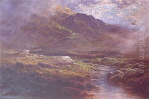 A Splash On The Moor And The Wind In Your Face, Near Kinlochewe, Ross-shire Oil Painting by J. Daniel