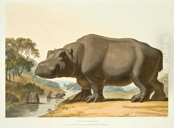 The Hippopotamus; The African Rhinoceros Oil Painting by Samuel Daniell