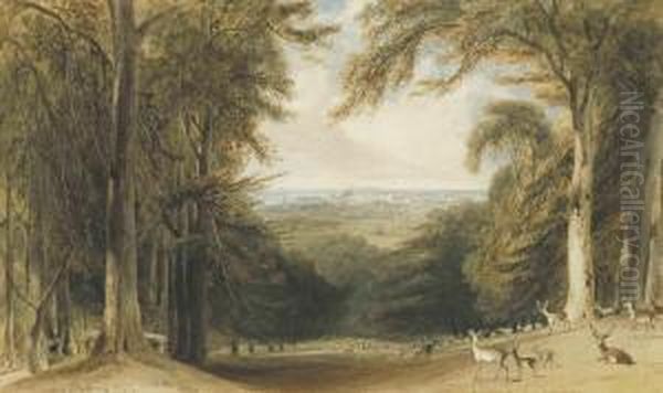 Deer In A Glen In Windsor Great Park Near Bishopsgate Oil Painting by William Daniell RA