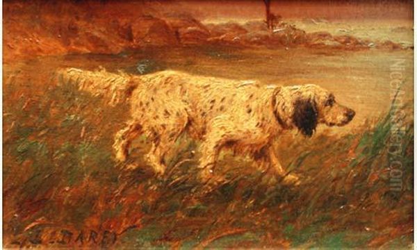 Chien A L'affut. Oil Painting by Louis Darey