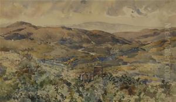 View Of Ruisseau De Cernitojo Oil Painting by Edward Darley Boit