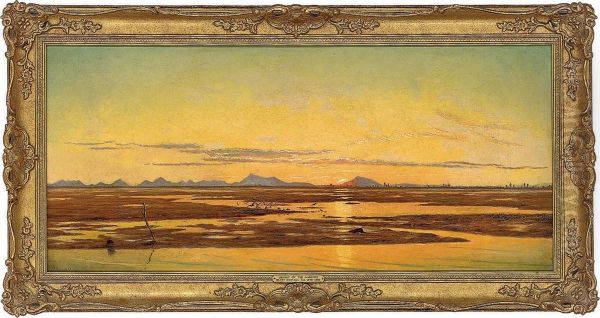 Sunset On The Marshes by Henry Darvall