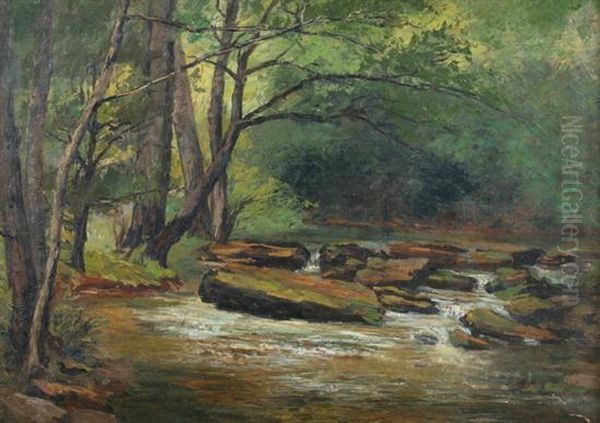 Rocky Stream Oil Painting by Maria Dassonville