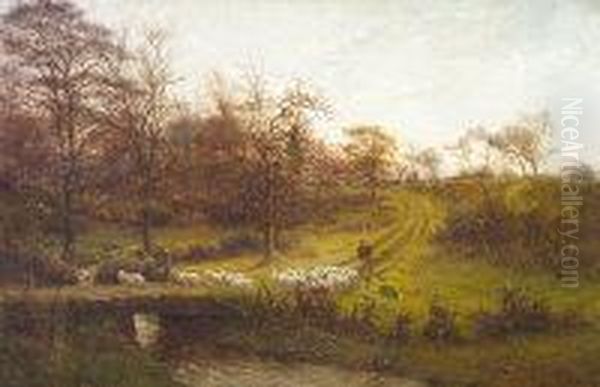 Ducks On A Lake With Cattle In Landscape Oil Painting by James Hey Davies