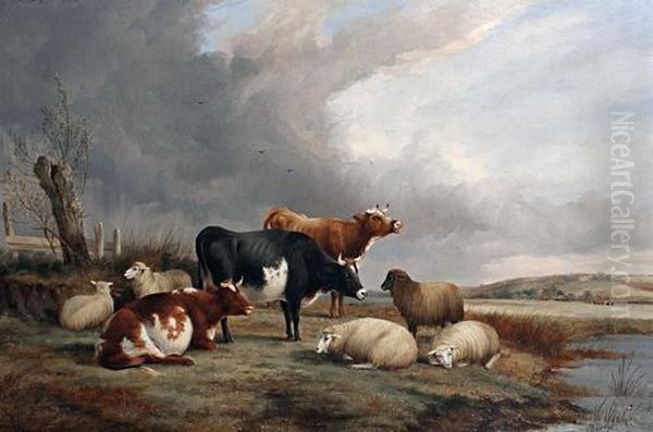 Cows And Sheep Resting By A River Oil Painting by A. Davis