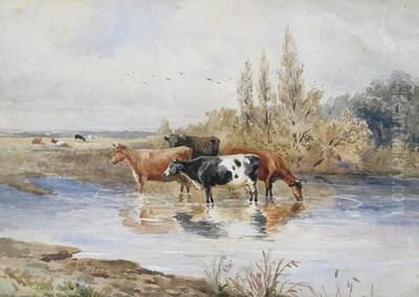 Cattle Watering By A River Oil Painting by A. Davis