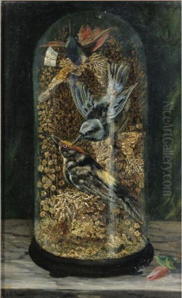 Stuffed Birds In A Dome Oil Painting by Arthur H. Davis