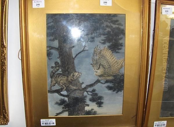 Owl Startled By A Cat In A Pine Tree Oil Painting by Frederick Williams Davis