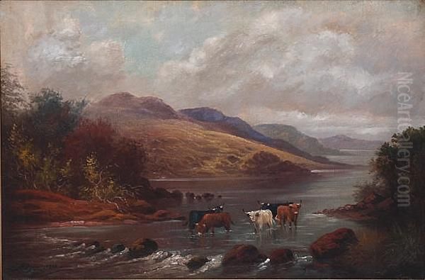 Study Of Highland Cattle Watering In Amountainous Landscape, On Canvas, Signed And Dated 1922 Lower Left Oil Painting by G. Davis