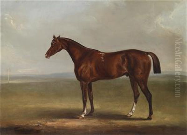 Bay Horse In A Landscape Oil Painting by Henry William Banks Davis, R.A.