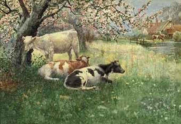 Cattle Grazing In An Orchard Oil Painting by Henry William Banks Davis, R.A.