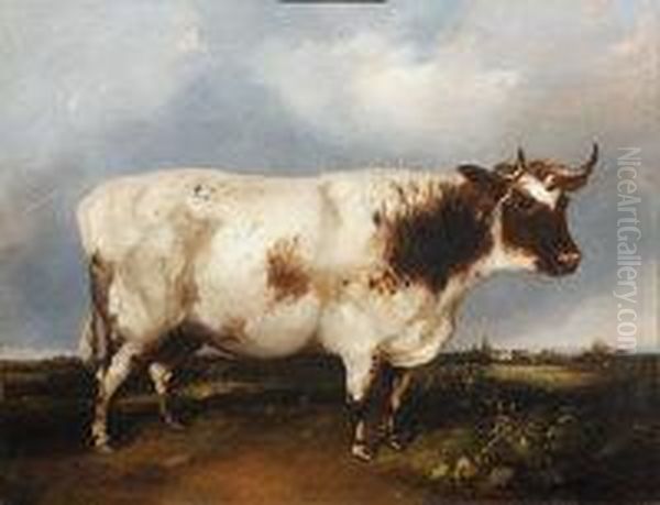 Portrait Of A Prize Bull Oil Painting by William Henry Davis