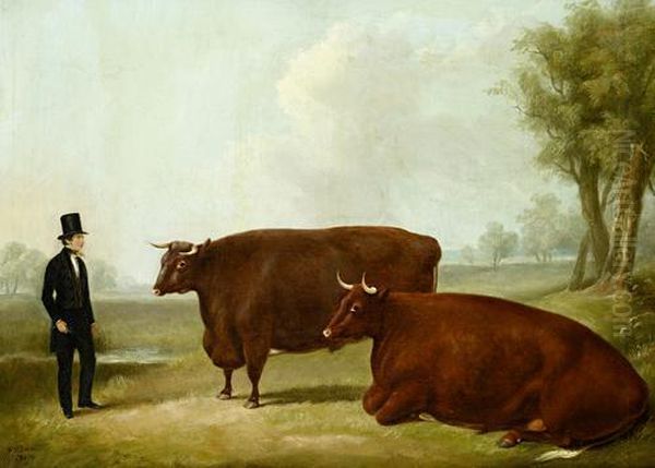 A Landowner And Two Cows In A Field Oil Painting by William Henry Davis