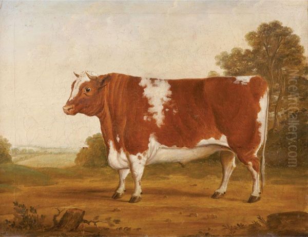 Hereford Bull Oil Painting by William Henry Davis