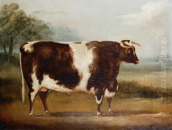 Study Of A Bull Oil Painting by William Henry Davis