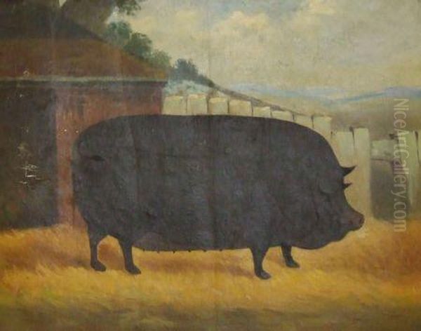 A Prize Pig Oil Painting by William Henry Davis