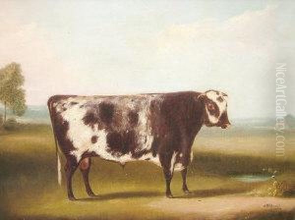 Portrait Of A Cow Standing In A Landscape; Oil On Canvas Oil Painting by William Henry Davis