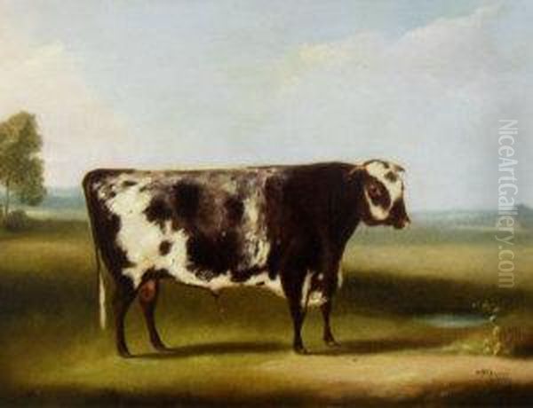 Portrait Of A Cow Oil Painting by William Henry Davis