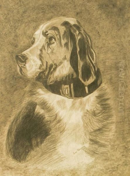 A Charcoal Study Of A Dog by Ema Dawson