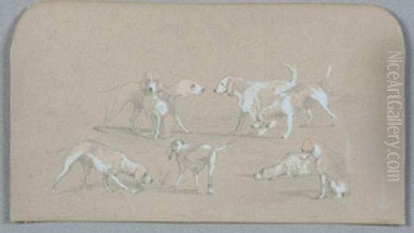 Etude De Chiens De Meute Oil Painting by Albert De Balleroy