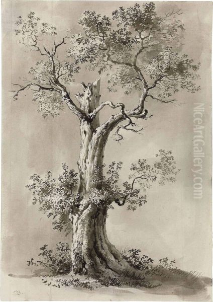 Study Of A Blasted Tree Oil Painting by Jean-Jacques De Boissieu