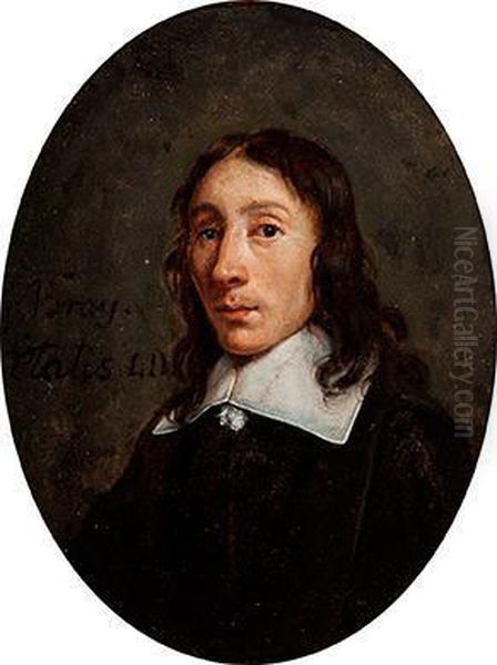 Portrait Of A Young Man In A Black Coatwith A Lace Collar Oil Painting by Jan De Bray