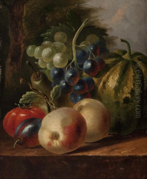 Still Life With Fruit On A Garden Table Oil Painting by Cornelis Johannes De Bruyn