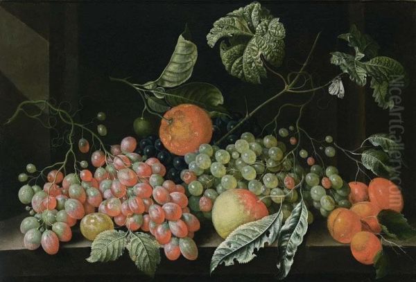 A Still Life With Grapes, A Tangerine, An Apple, Prunes And Apricots, All On A Stone Legde Oil Painting by Cornelis De Bryer