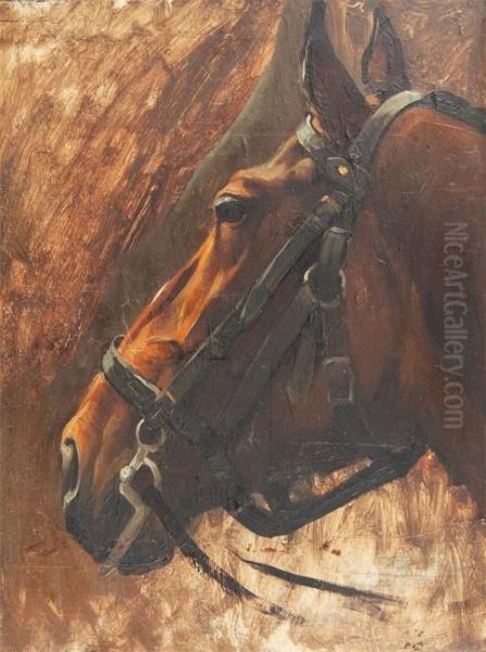 Horse's Head. Oil Painting by Constant De Busschere