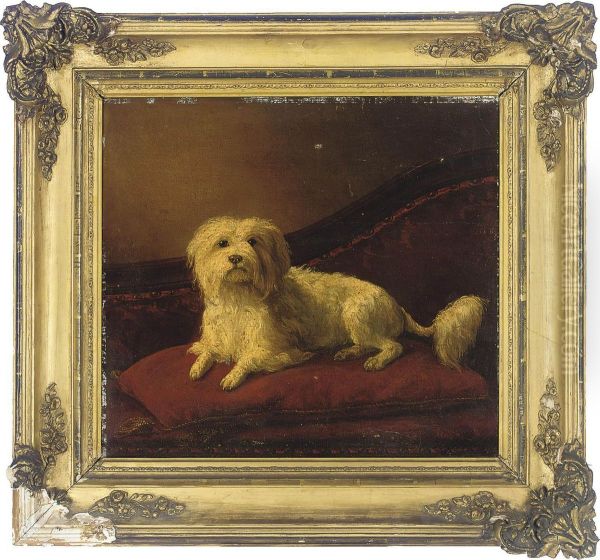 A White Terrier On A Red Cushion Oil Painting by J.T. De Castro