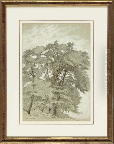 Trees In A Forest; And A Companion Work Oil Painting by Octave De Champeaux De La Boulaye