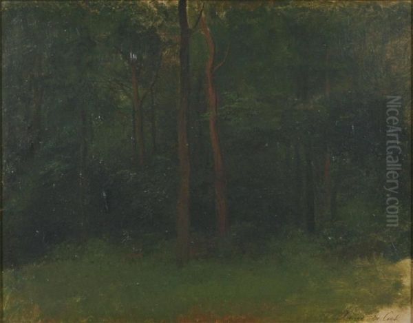 Study For Wooded Landscape Oil Painting by Xavier De Cock