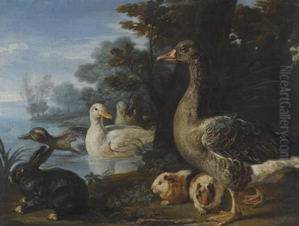 A Cockerel, Hens, Doves And A Parrot In A Formal Garden Setting Oil Painting by David de Coninck