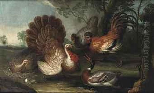 Two Turkeys, A Duck, A Rooster And A Hen In A Landscape Oil Painting by David de Coninck